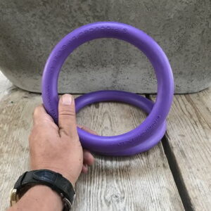 puppy speel hoepel hond