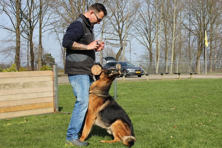 Losjes rustig aan Bourgeon Hondenshop online dé online hondenshop waar hondenartikelen getest zijn