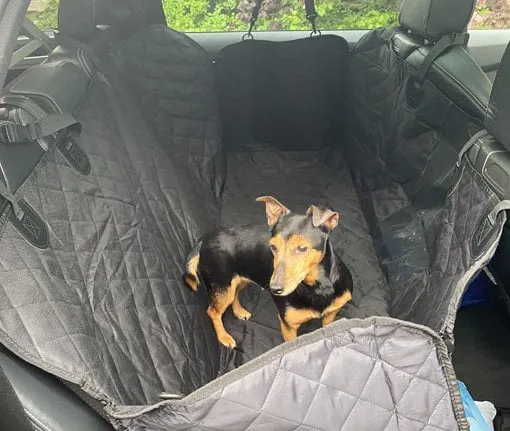 Schutzdecke Auto Hund die getestete Hundematte für die Rückbank Auto