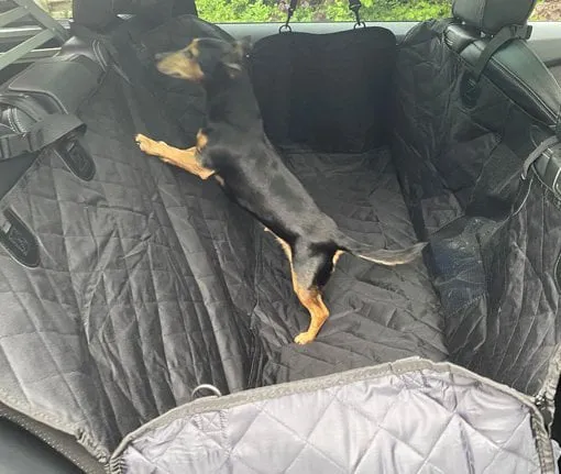 Opvoeding Wolk Voorzitter Beschermhoes auto hond de geteste Hondenmat voor de achterbank auto
