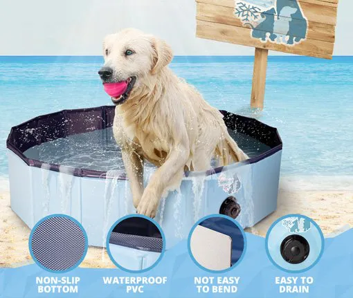 doorgaan met Bereid Glimmend Hondenzwembad de luxe voor verkoeling, plezier én puppy zwemles :-)