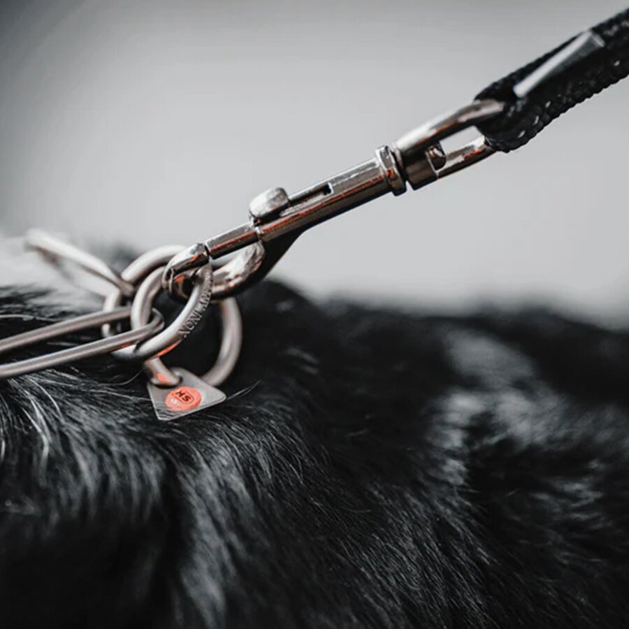 Verstellbare Hundeleine 2,3 Meter – Bild 3