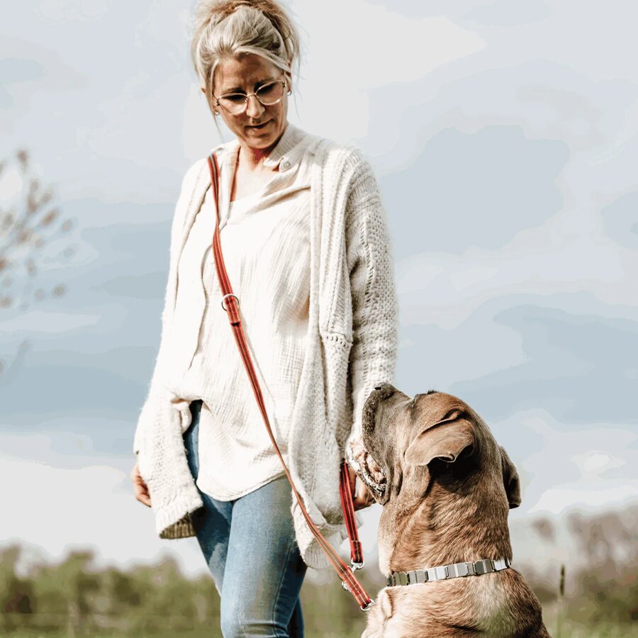 orange Leine 230cm Wandern - Laufen