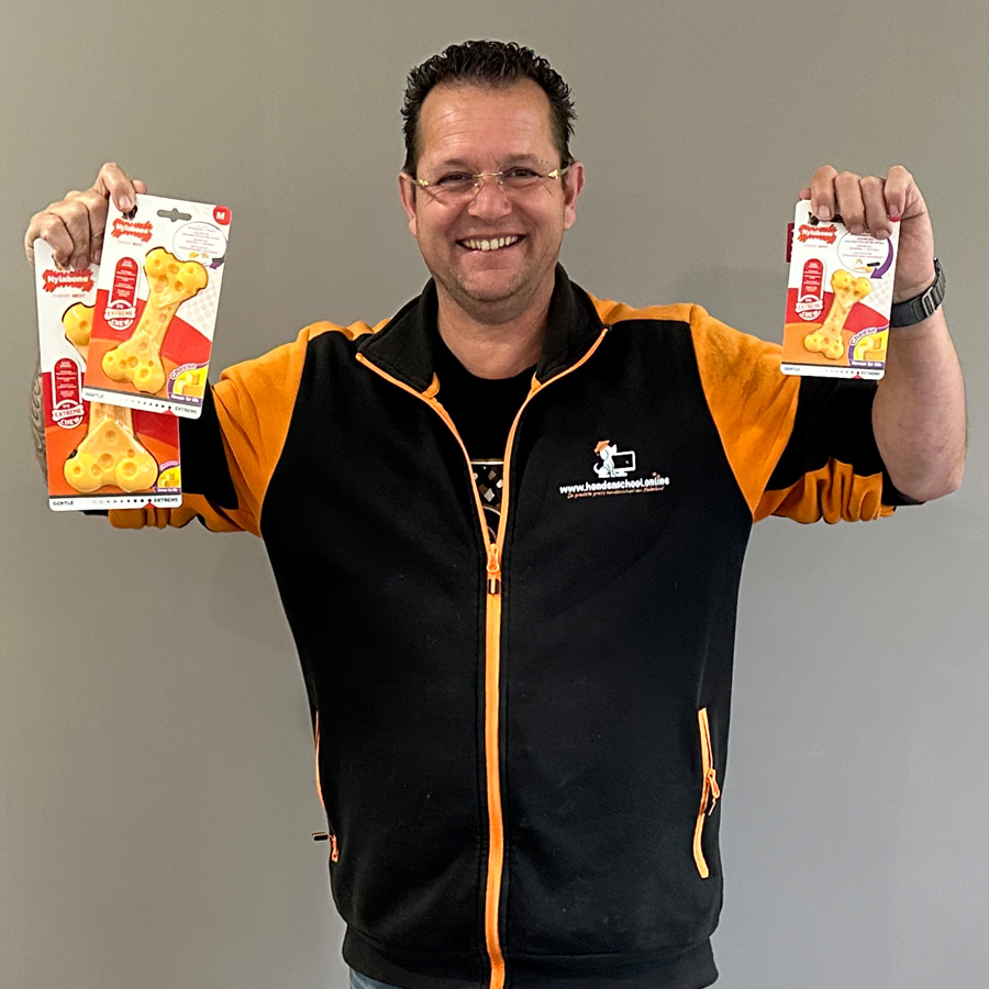 Nylabone Käseknochen