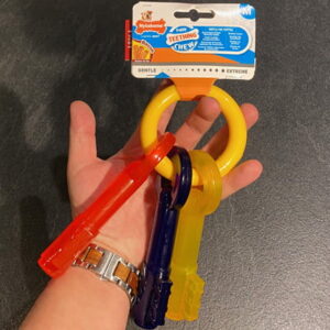 nylabone puppy teething key m
