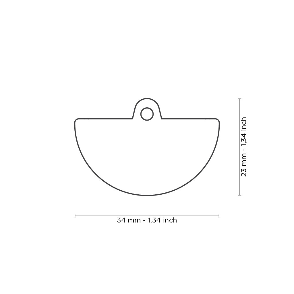 hondenpenning Watermeloen