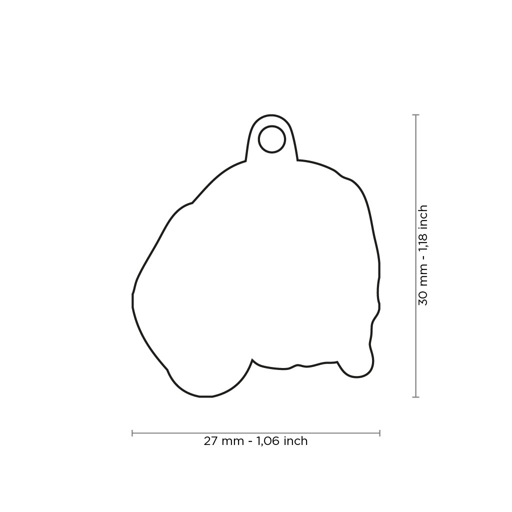 hondenpenning beagle