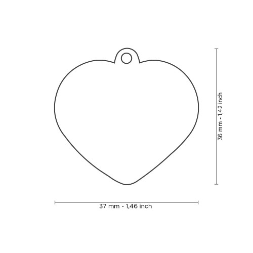 rainbow hondenpenning big heart