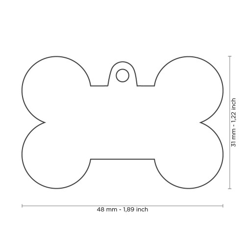 rainbow hondenpenning big xl bone