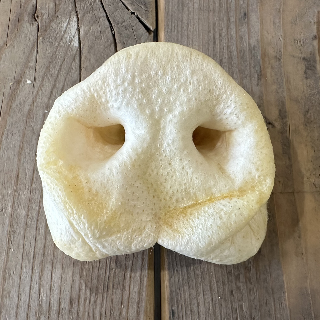 Gepofte honingneuzen A+ kwaliteit - Afbeelding 2