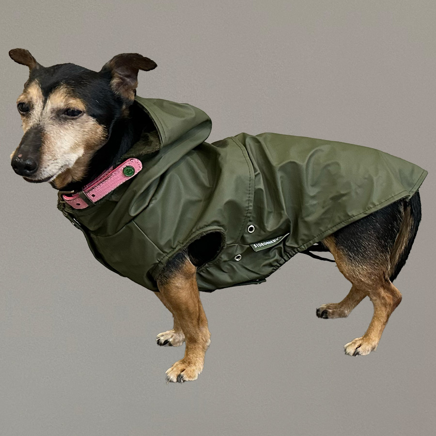 Hondenjas met capuchon klassiek groen