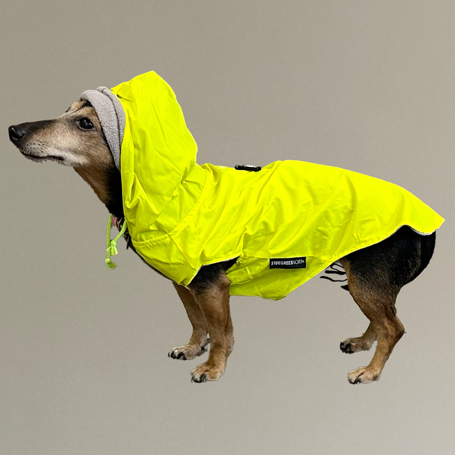 hondenregenjas kopen