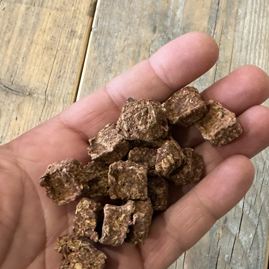 gezonde beloningssnoepjes 100 zalm