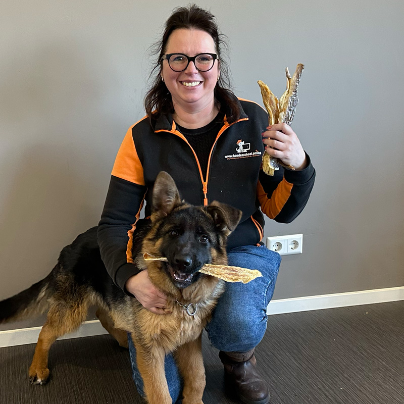 vis hondensnack schelvis