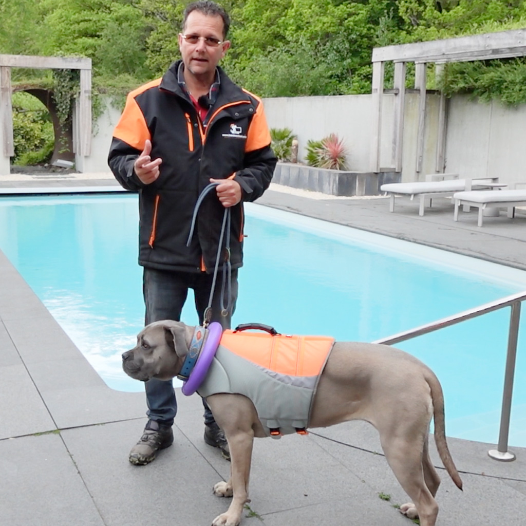 zwemvest hond