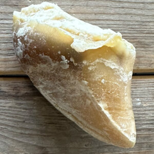 Hoefje gevuld met Schapenvet eu