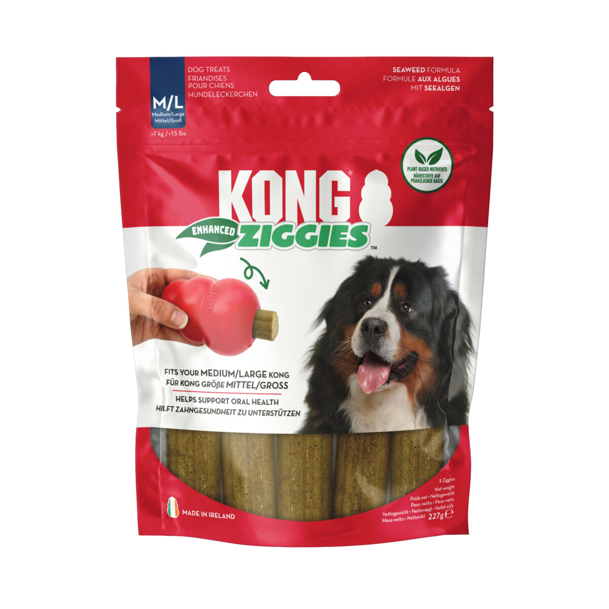 KONG Ziggies medium large