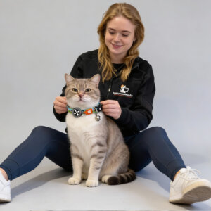 max Molly Smart ID Cat Collar Magic Sheep