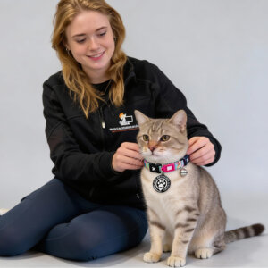 max Molly Smart ID Cat Collar Magic zebra