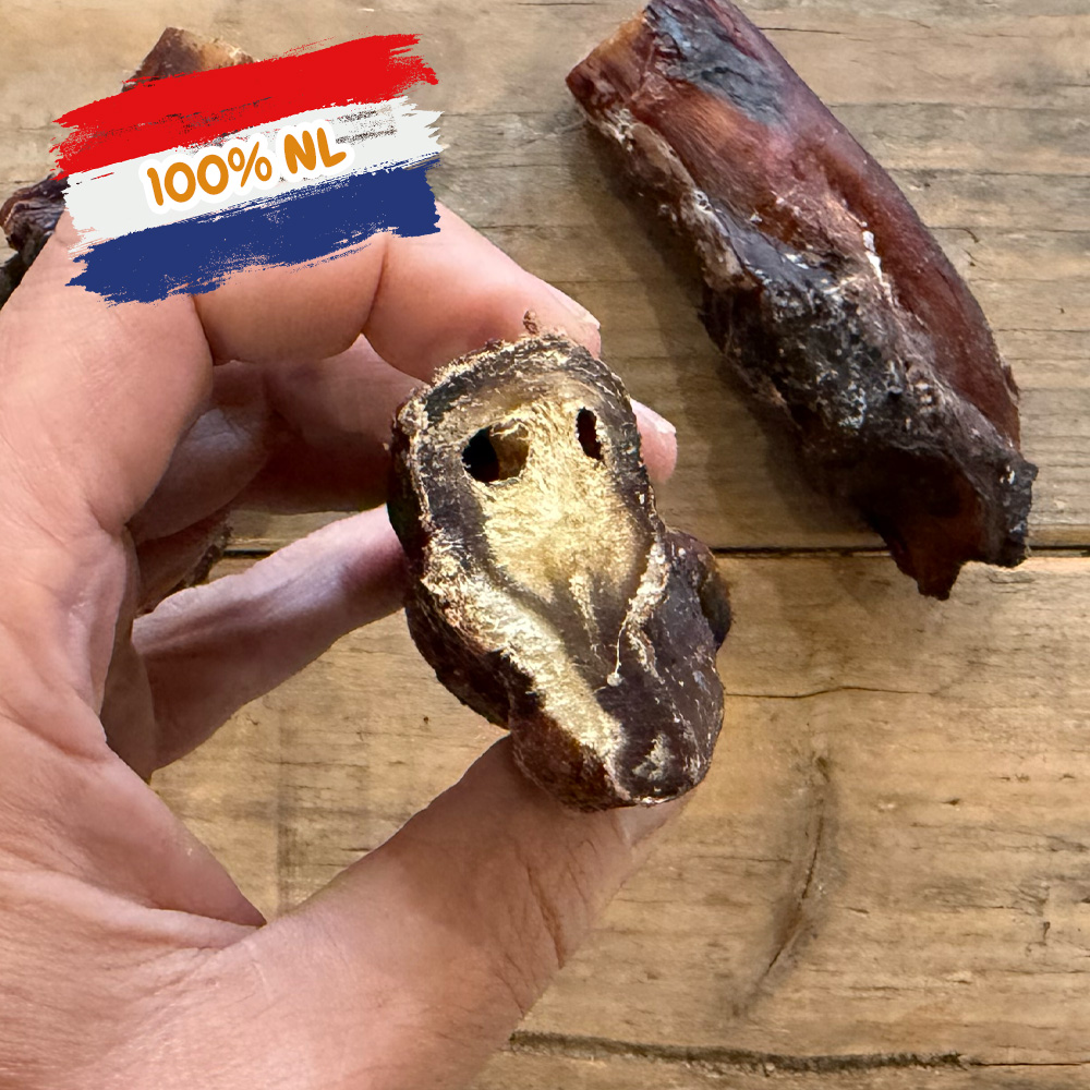 BulleKrachtPees xl nederlandse hondensnack