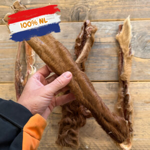 bâton de bœuf XXL avec poils nl