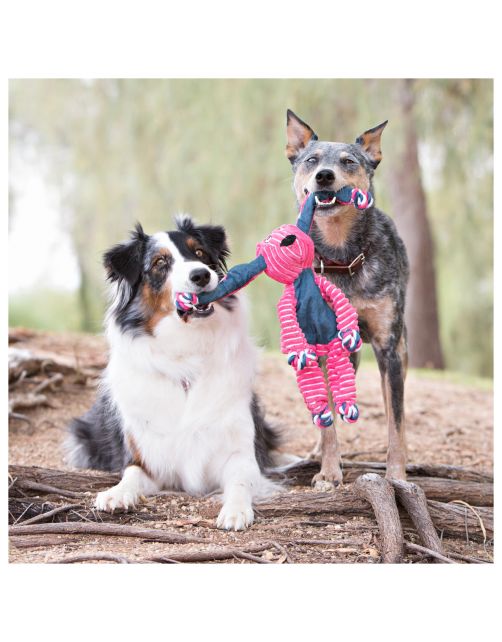 Kong-Floppy-Knots-Bunny