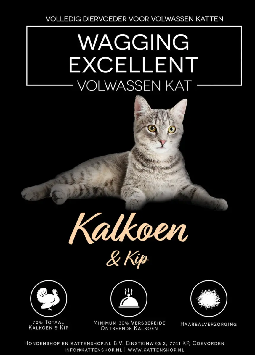 wagging excellent volwassen kalkoen kip