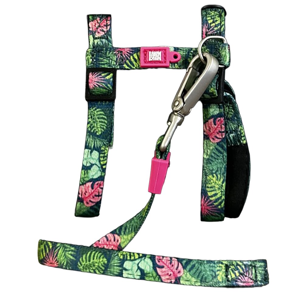 katten tuigje met looplijn