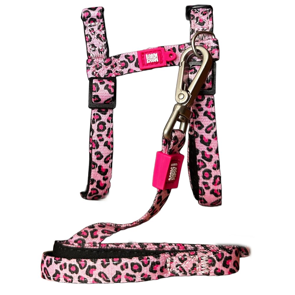 leopard tuigje kat met looplijn